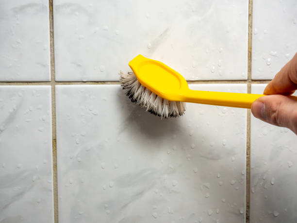 Best Commercial Mold Removal  in Smithville, TX