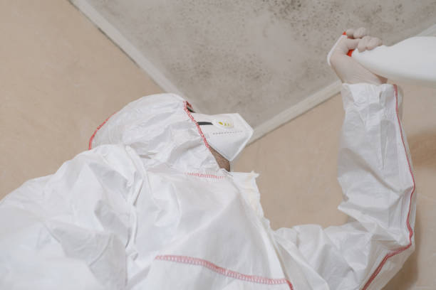 Best Mold Cleaning Services  in Smithville, TX